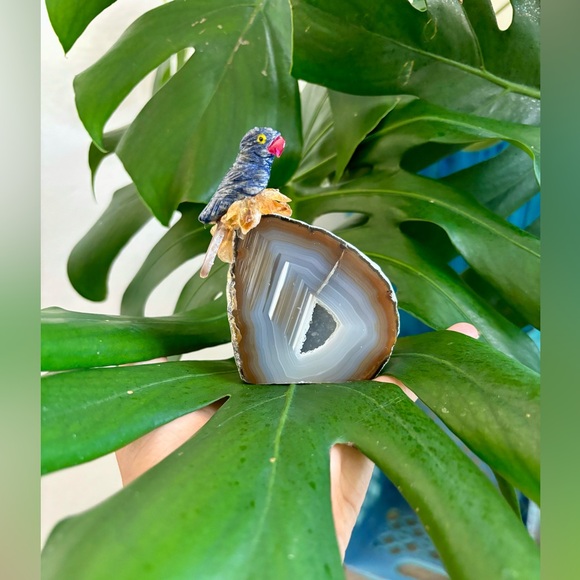 Parrot carving on Agate geode - Picture 1 of 5